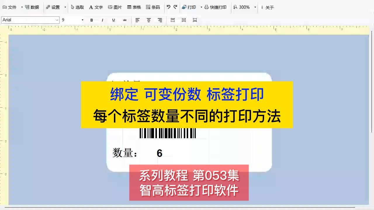 智高標簽設計打印軟件 指定份數 綁定可變份數 批量打印標簽